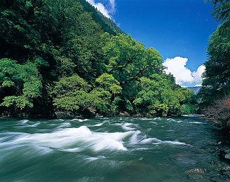 奇幻模拟经营游戏《酒馆老板》现已登录Steam平台 2024年第四季度推出